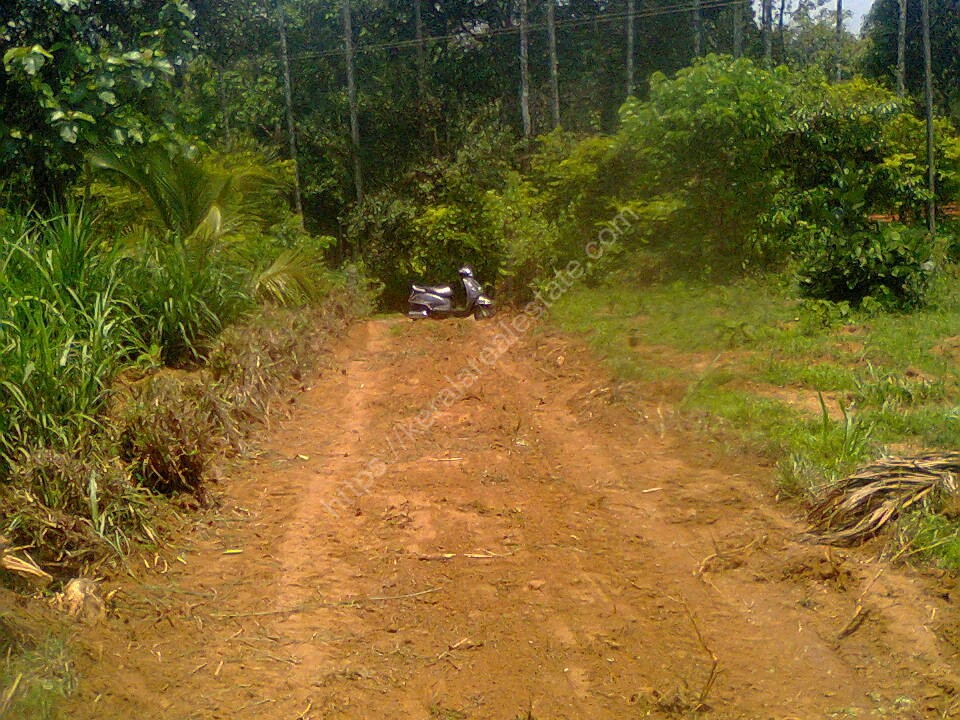 First slide