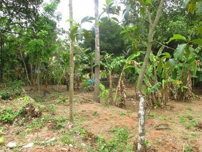 Residential land for sale at Piravom, Ernakulam Kerala Real Estate