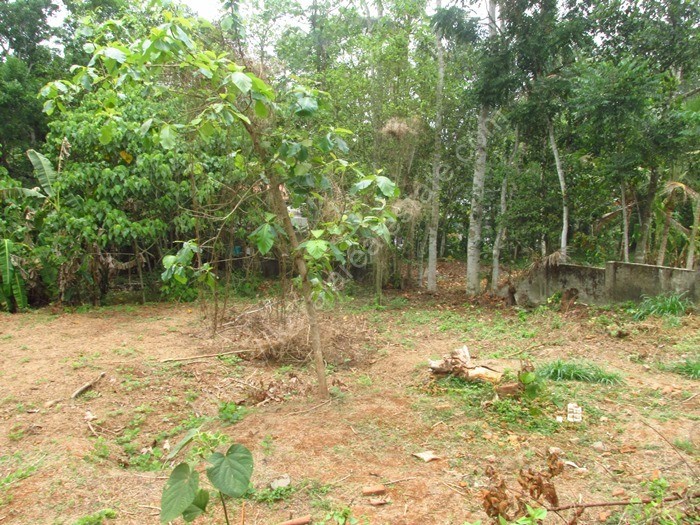 Residential land for sale at Piravom, Ernakulam Kerala Real Estate