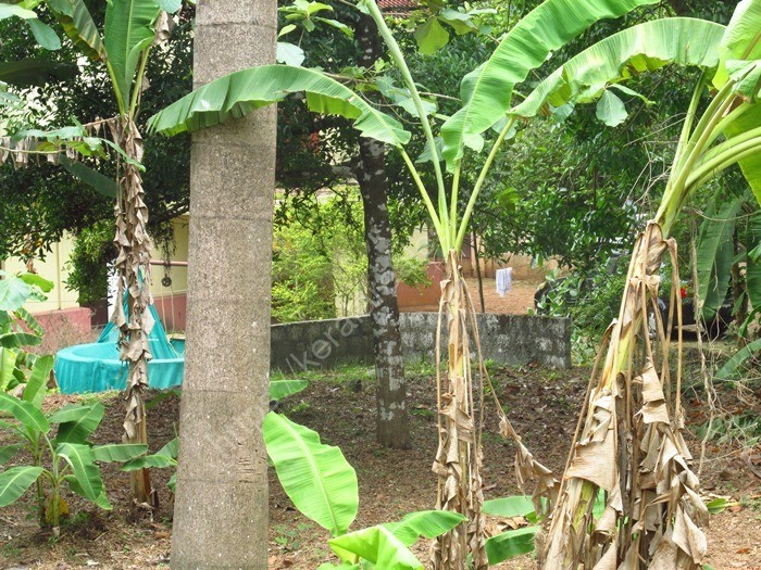 Residential land for sale at Piravom, Ernakulam Kerala Real Estate