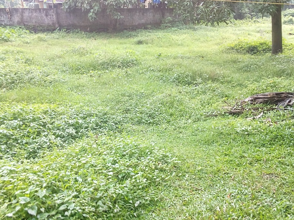 7 Cents of Residential plot for sale at kadavanthra. Ernakulam Kerala Real Estate