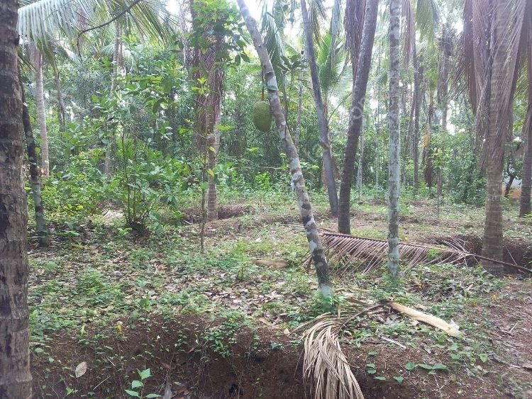 Residential land for sale at Thalassery, Kannur Kerala Real Estate
