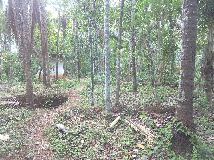 Residential land for sale at Thalassery, Kannur Kerala Real Estate