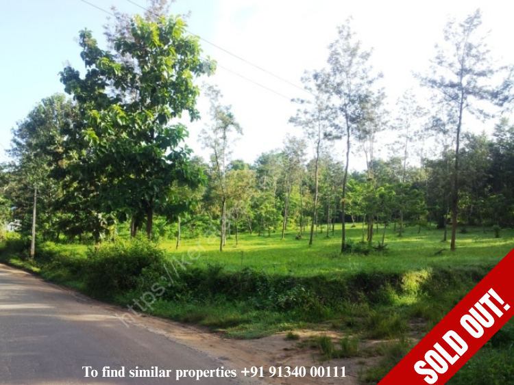 First slide