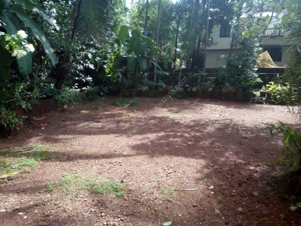 4 Cents Of Residential Land For Sale Near Ngo Quarters Kozhikode Kerala Real Estate