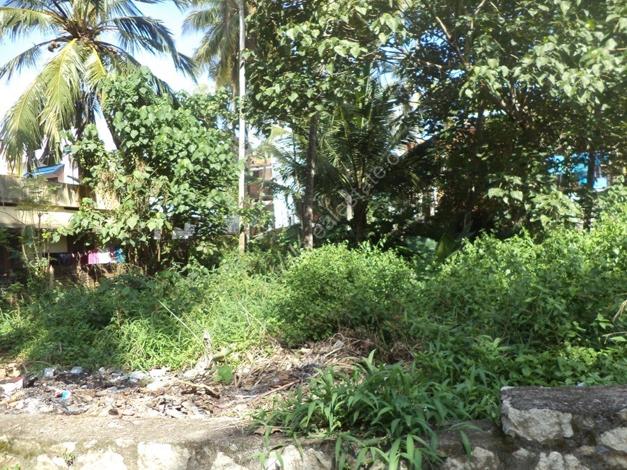 Residential Land For Sale At Kowdiar, Trivandrum. Kerala Real Estate