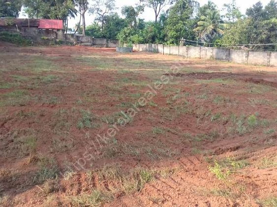 Residential Land For Sale At Kunnathery Aluva Kerala Real Estate