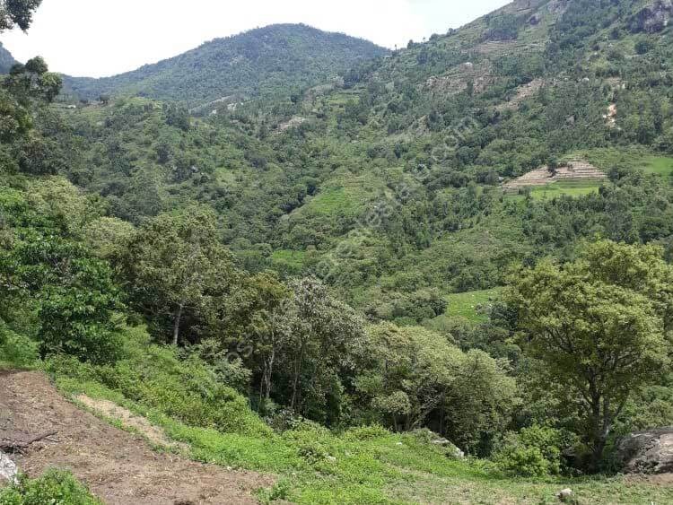 3.5 Acers Land for Sale at Vattavada, Idukki Kerala Real Estate