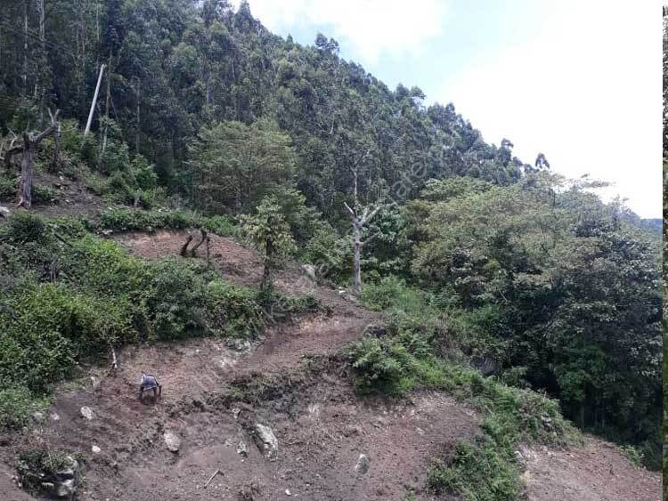 3.5 Acers Land for Sale at Vattavada, Idukki Kerala Real Estate