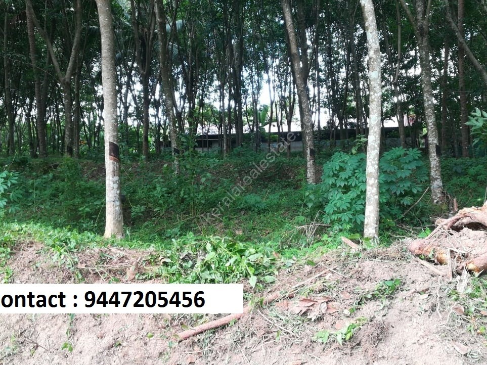 1.5 acre land for sale Kerala Real Estate
