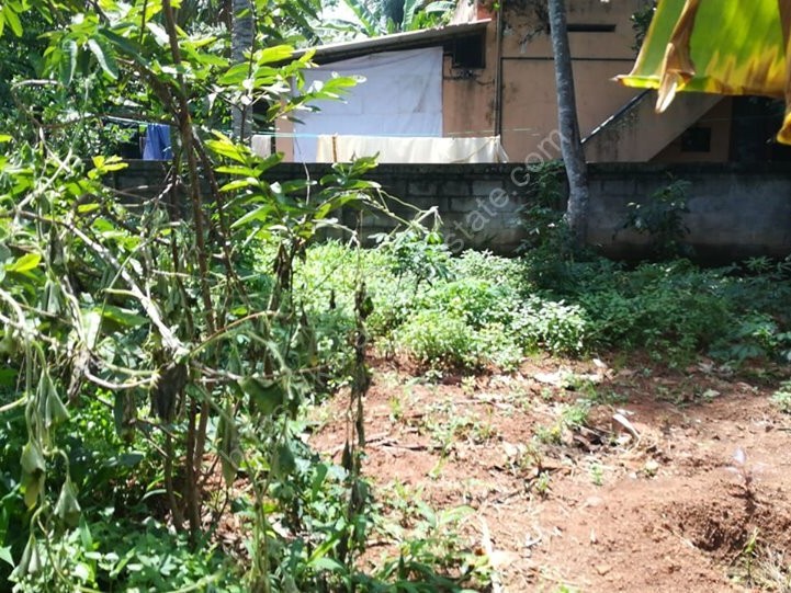5 cent land for sale Kerala Real Estate
