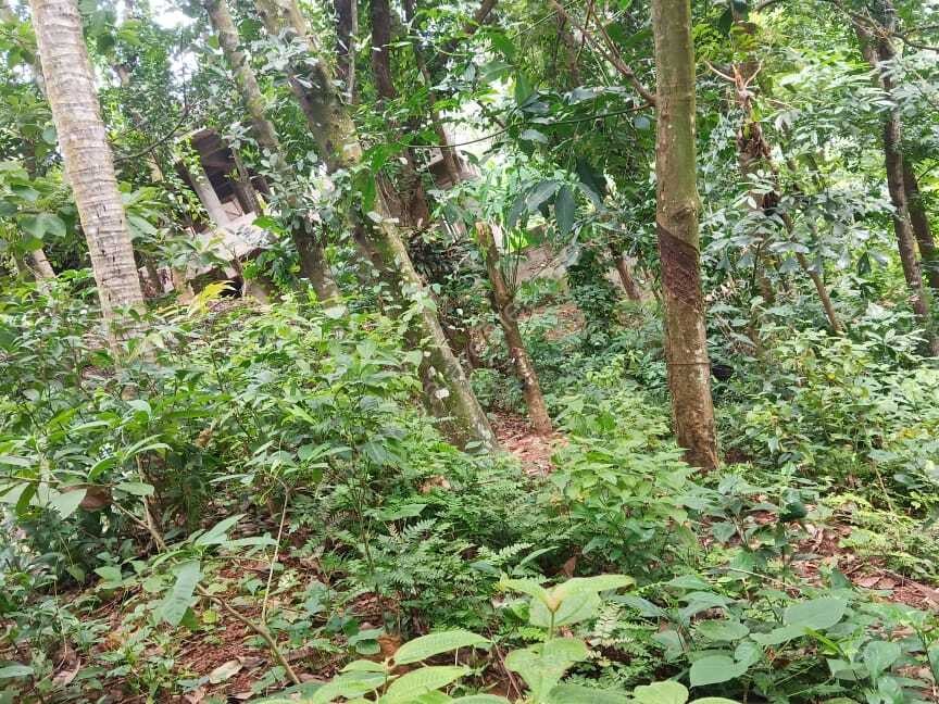 PLOT FOR SALE KALLAYAM Kerala Real Estate