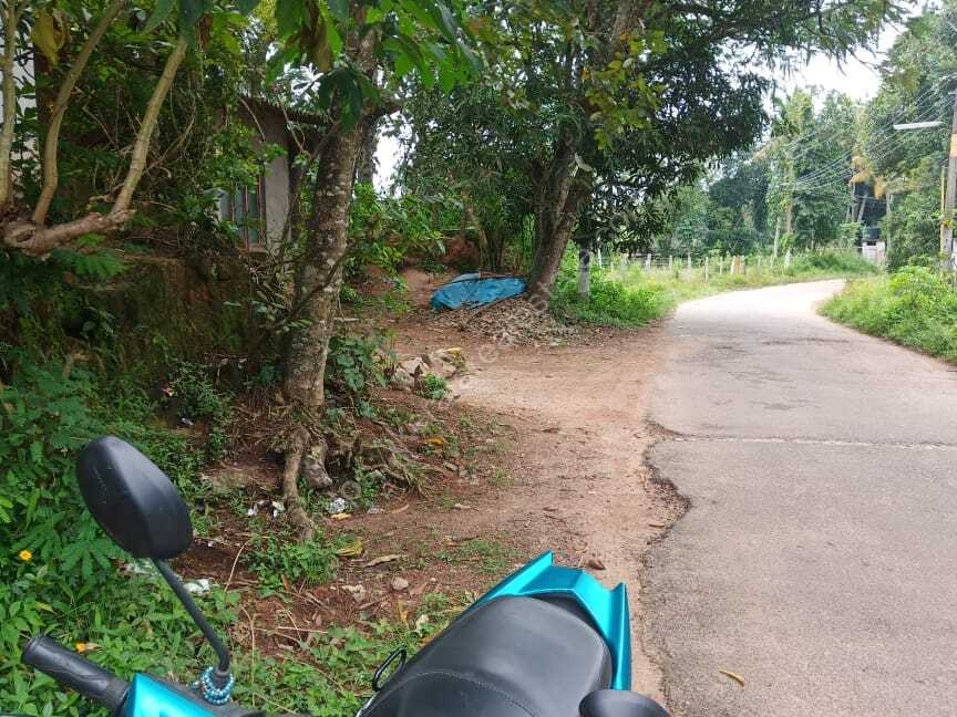 PLOT FOR SALE KALLAYAM Kerala Real Estate