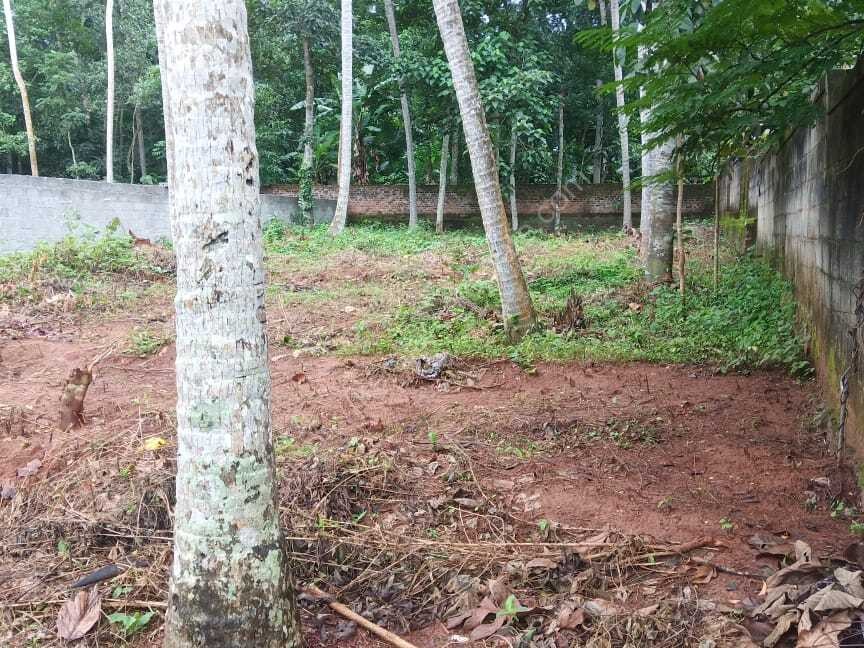 PLOT FOR SALE BALARAMAPURAM Kerala Real Estate