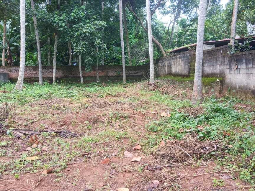 PLOT FOR SALE BALARAMAPURAM Kerala Real Estate