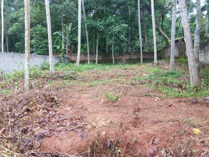 PLOT FOR SALE BALARAMAPURAM Kerala Real Estate
