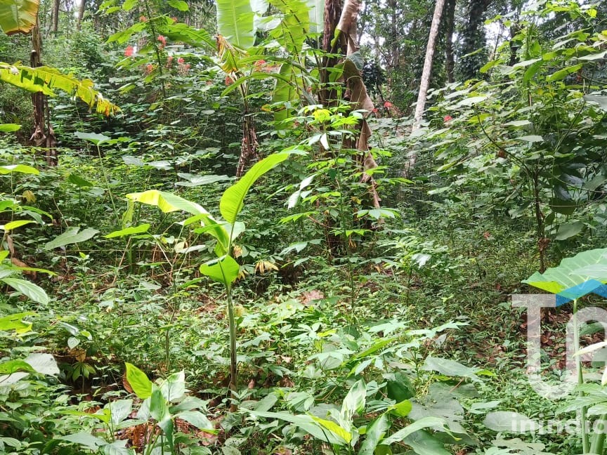 PLOT FOR KALLAYAM Kerala Real Estate