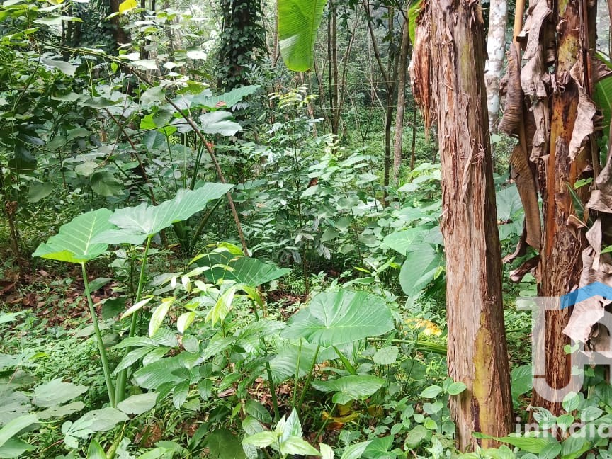 PLOT FOR KALLAYAM Kerala Real Estate