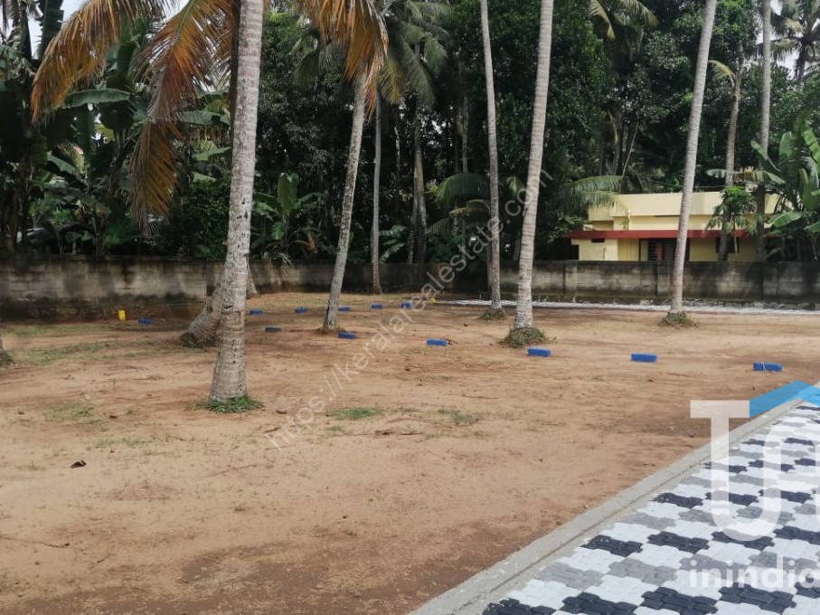PLOT FOR SALE VELLAYANI Kerala Real Estate