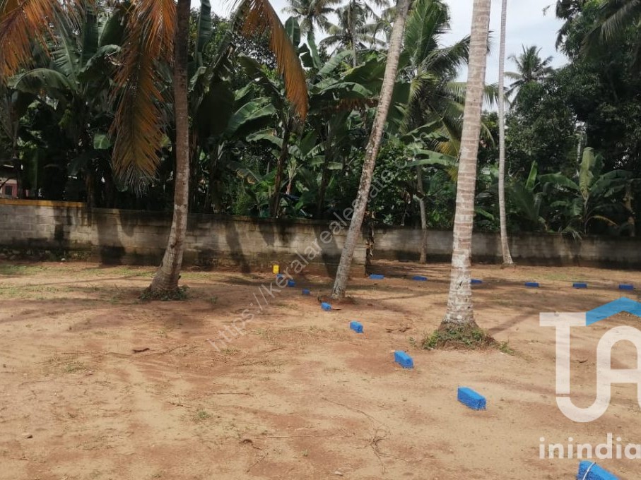 PLOT FOR SALE VELLAYANI Kerala Real Estate
