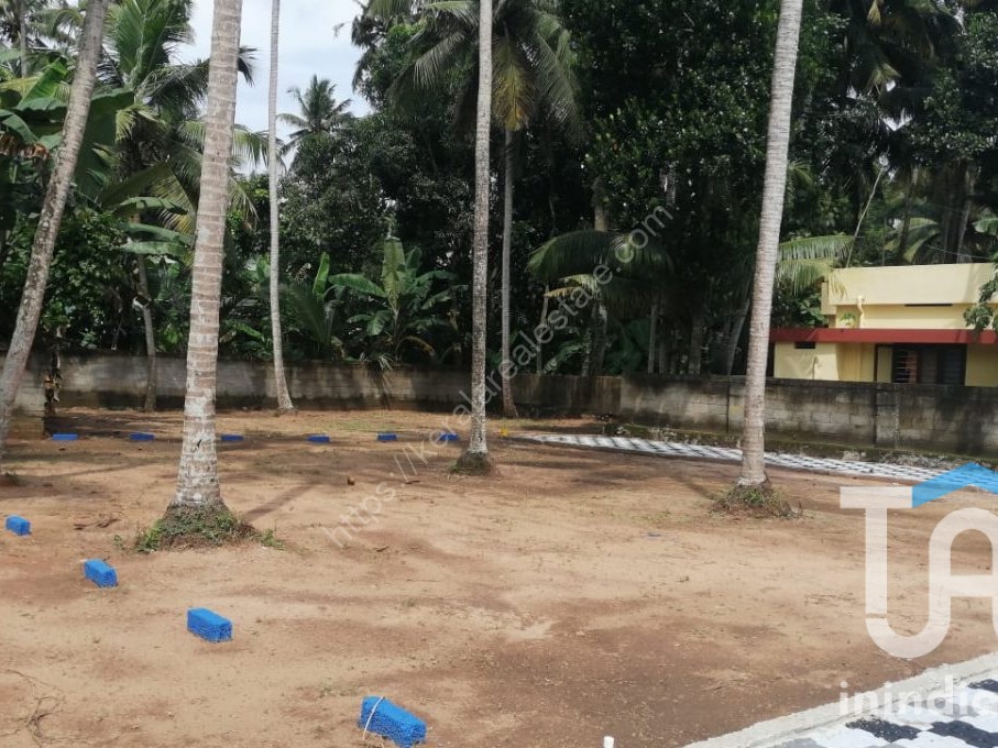 PLOT FOR SALE VELLAYANI Kerala Real Estate