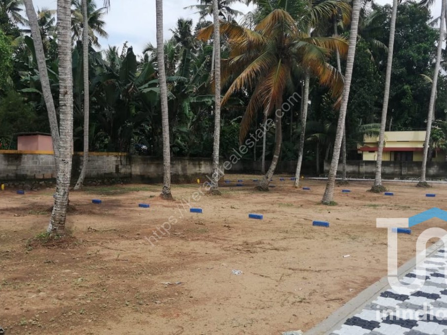 PLOT FOR SALE VELLAYANI Kerala Real Estate
