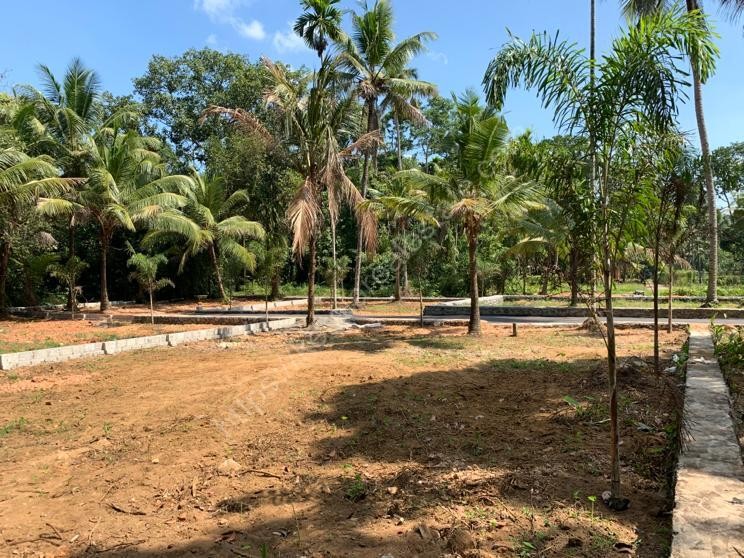 Residential Plots for Sale at Kulasekara Mangalam , Vaikom Kottayam Highway Kerala Real Estate