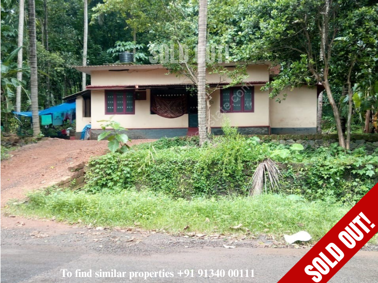 First slide