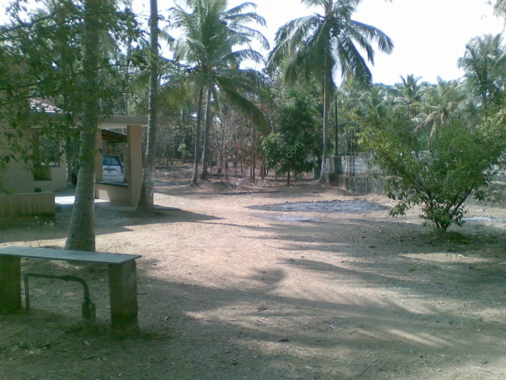 First slide