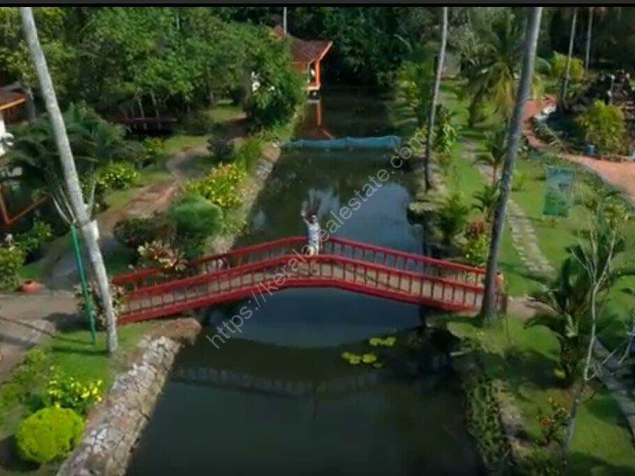 First slide