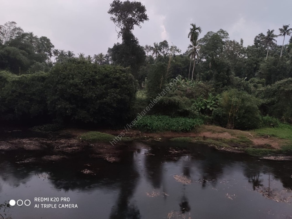 Riverside Attractive Residential Plot for sale Kerala Real Estate