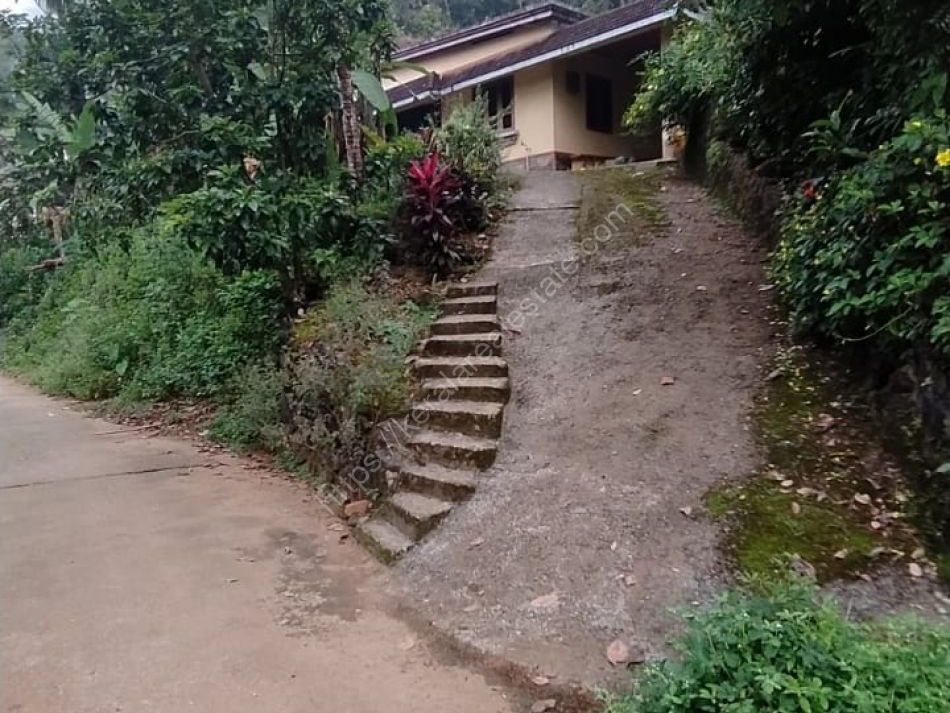 Residential land for sale in Seethathodu , Pathanamthitta Kerala Real