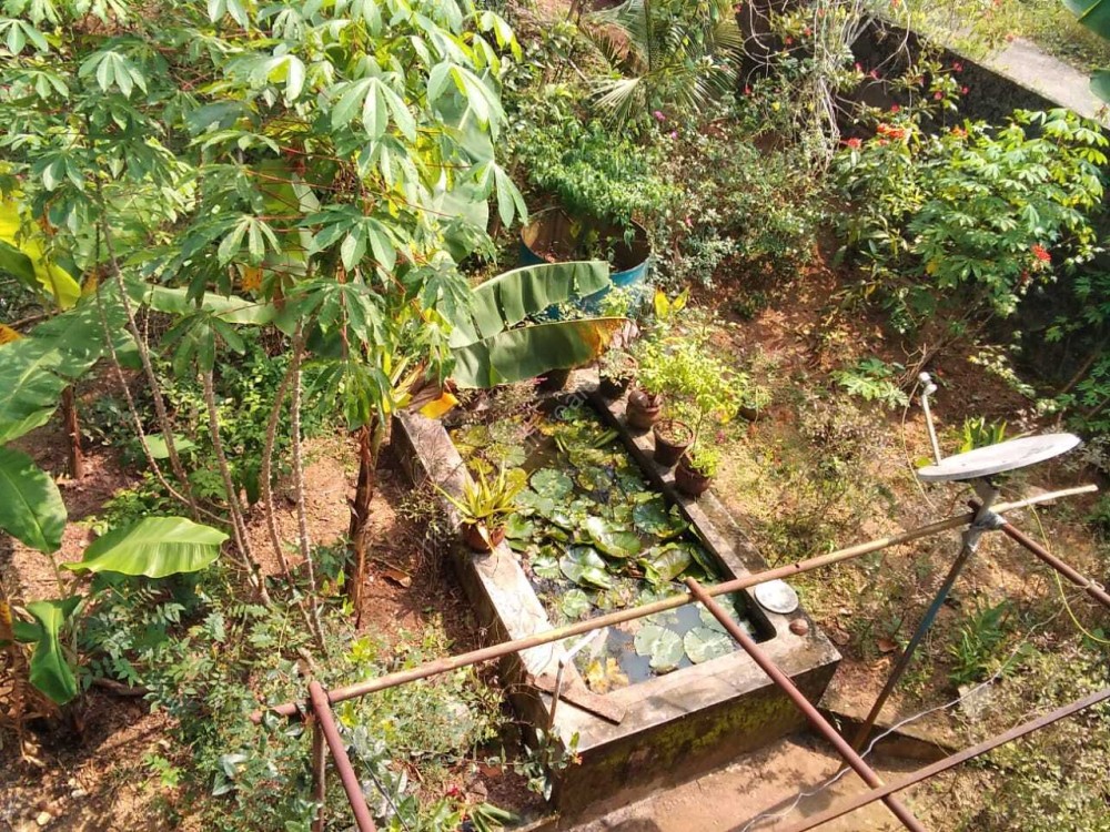 Residential Land for sale in Nedumangad, House Plot for sale in Attukal