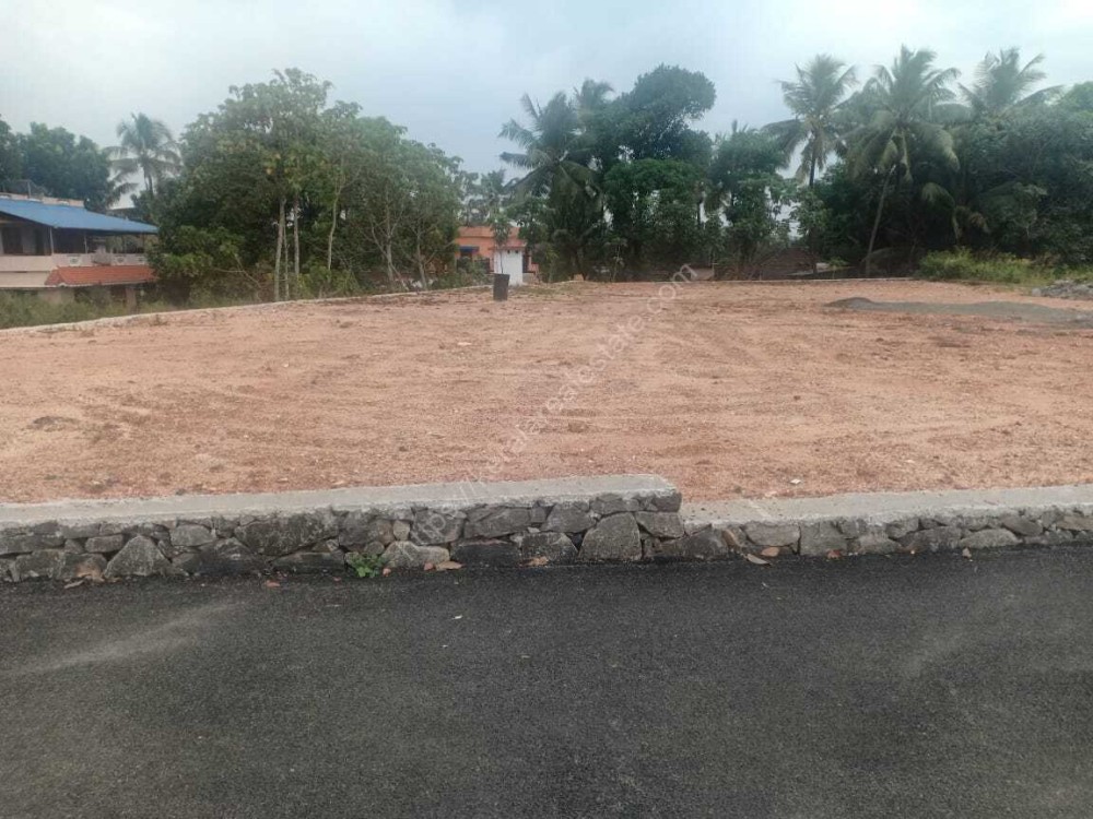 House plots (5 Cents to 15 Cents) for sale at Vazhakulam junction