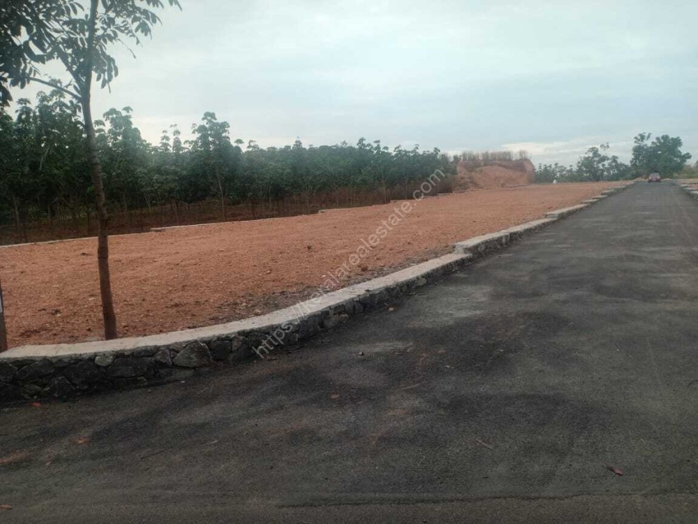 House plots (5 Cents to 15 Cents) for sale at Vazhakulam junction