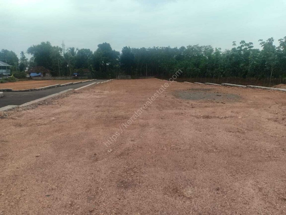 House plots (5 Cents to 15 Cents) for sale at Vazhakulam junction