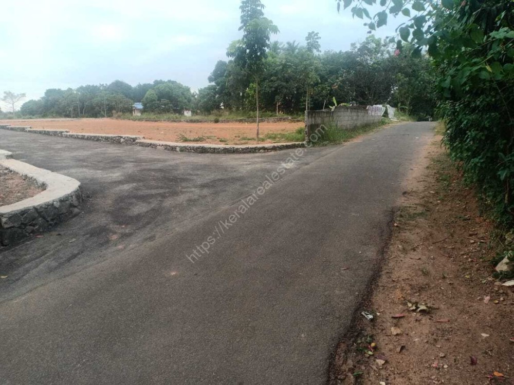 House plots (5 Cents to 15 Cents) for sale at Vazhakulam junction