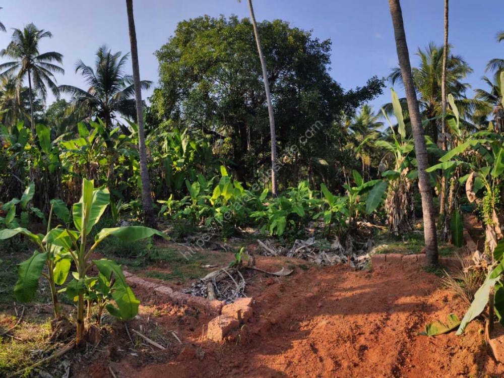 Road Frontage 75 Cents Land for Sale at Vellikulangara, Vadakara, Kozhikode Kerala Real Estate