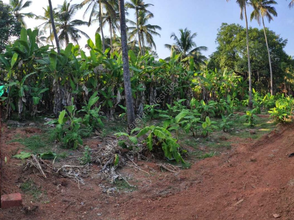 Road Frontage 75 Cents Land for Sale at Vellikulangara, Vadakara