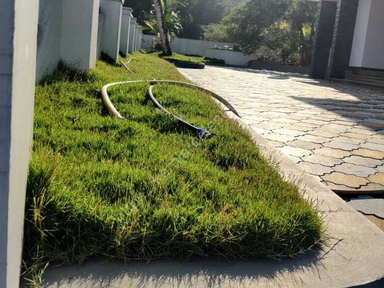 2500 sqft 4 BHK House in 13 Cent Land for Sale with Koothattukulam