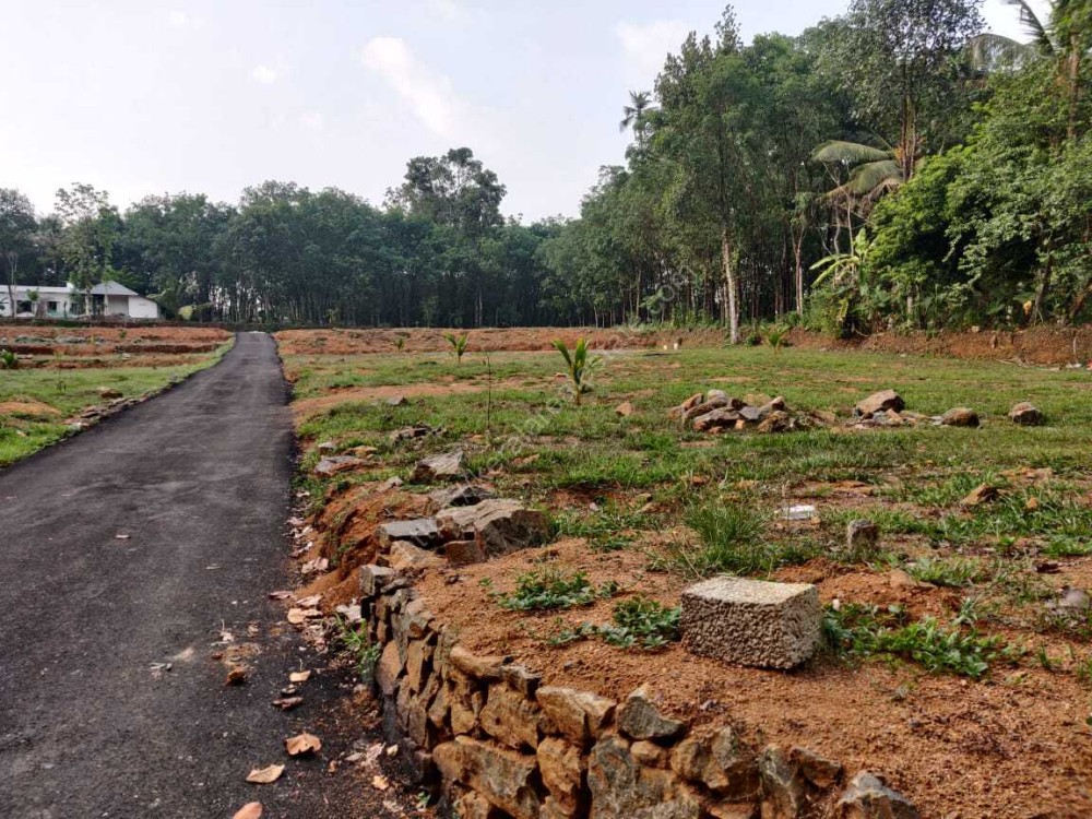 House Plots for sale Alanad, Near Choondacherry, Pala, Kottayam