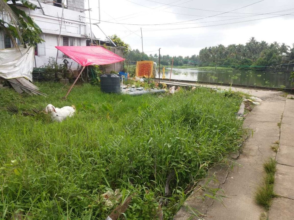 Water Frontage Plots for sale at Vyttila, Kochi Kerala Real Estate