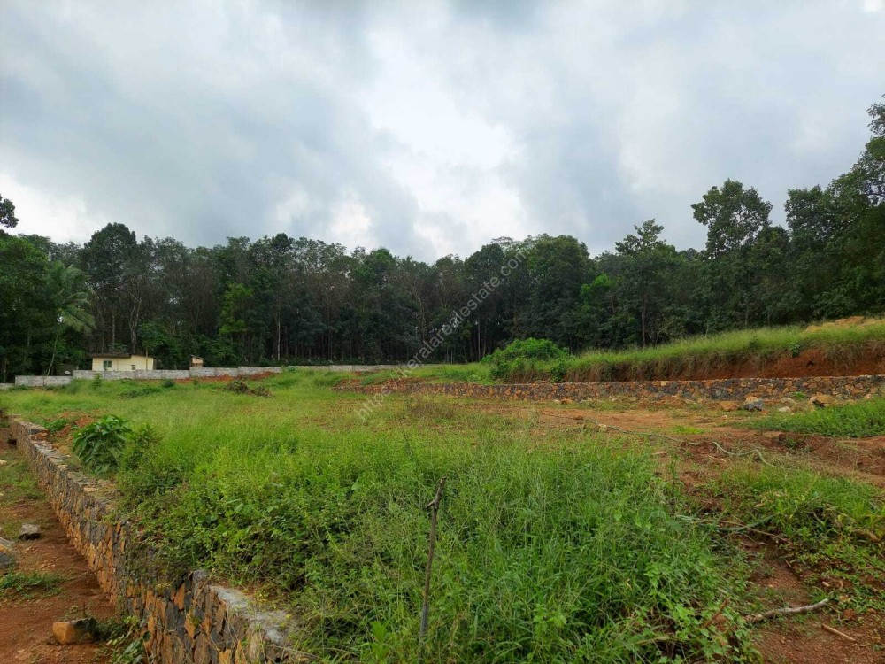 PREMIUM HOUSE PLOTS FOR SALE AT PALA, KOTTAYAM Kerala Real Estate