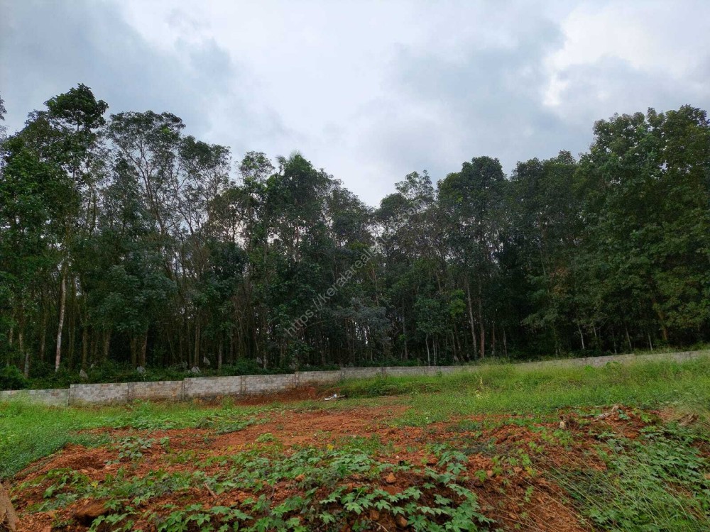 PREMIUM HOUSE PLOTS FOR SALE AT PALA, KOTTAYAM Kerala Real Estate