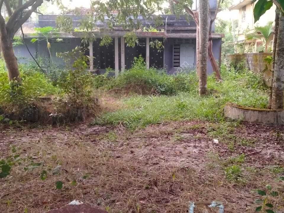 44 Cents of Original Land for Sale at Cherthala, Alappuzha Kerala