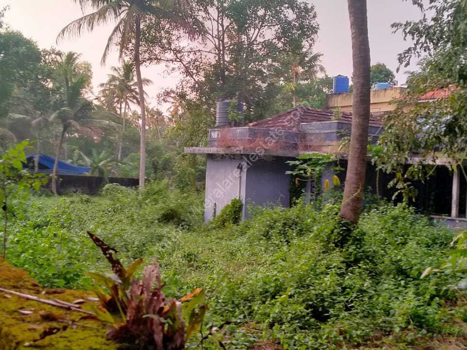 44 Cents of Original Land for Sale at Cherthala, Alappuzha Kerala