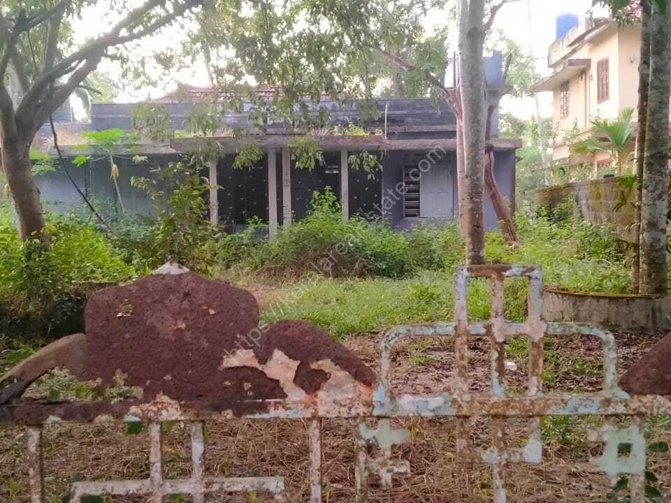 44 Cents of Original Land for Sale at Cherthala, Alappuzha Kerala