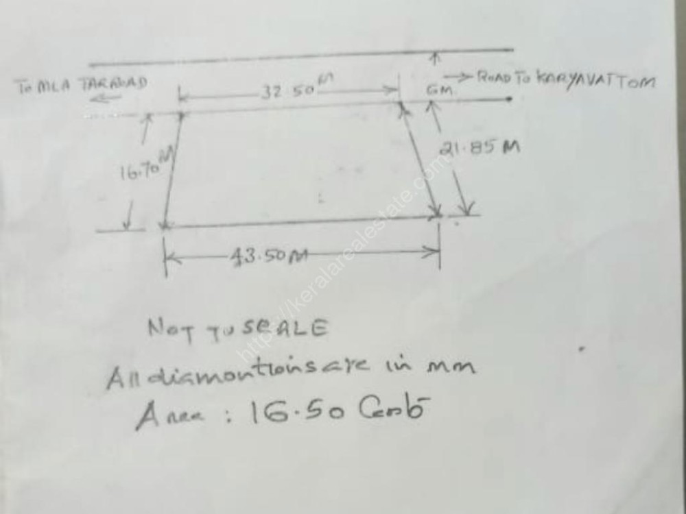 First slide