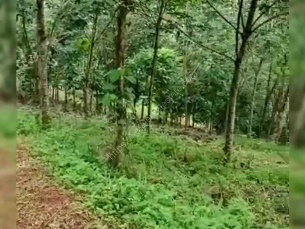 First slide
