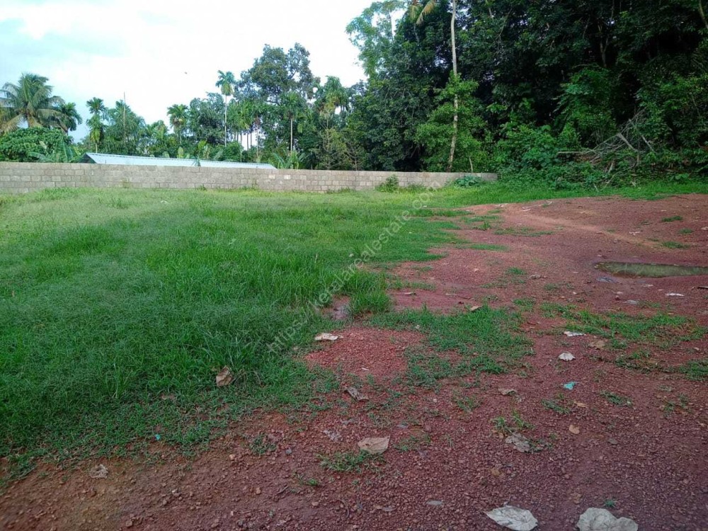 Residential Plots for Sale at Kollamkudimugal, Kochi Kerala Real Estate